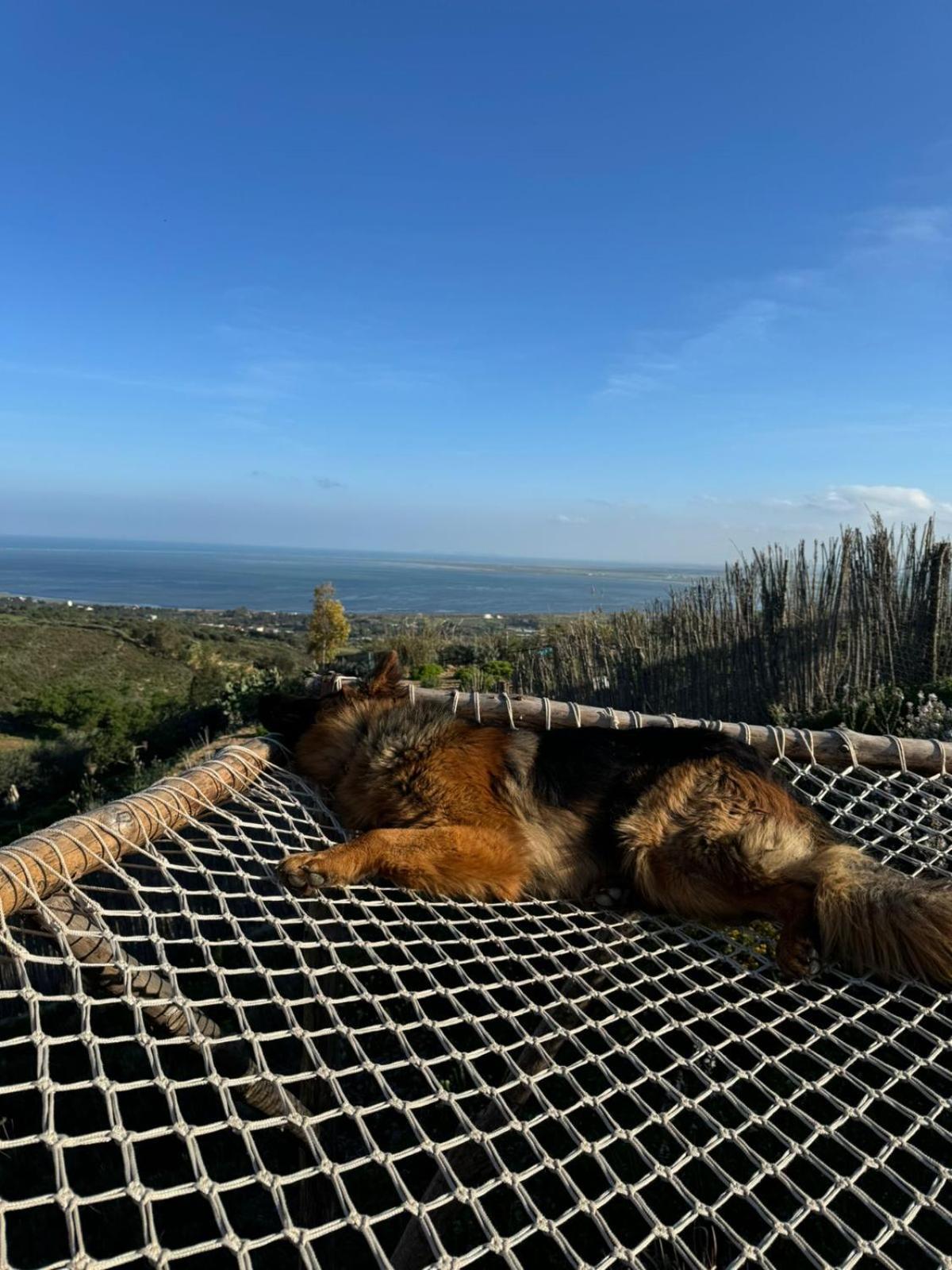 ホテル Ghar El Melh Outdoors Ra's al Jabal エクステリア 写真